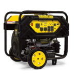 Champion Power Equipment 15,000/12,000 Watts Portable Generator with Electric Start & Lift Hook