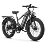 Aipas M2 Pro / M2 Max Xterrain Fat Tire Electric Bike