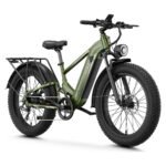 Aipas M2 Pro / M2 Max Xterrain Fat Tire Electric Bike