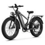 Aipas M2 Pro / M2 Max Xterrain Fat Tire Electric Bike