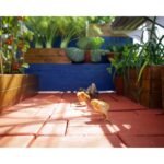 Canopia by Palram Harmony 6 ft. x 6 ft. Walk-In Greenhouse - Silver