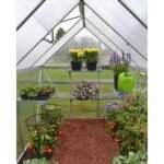Canopia by Palram Mythos 6 ft. x 8 ft. Walk-In Greenhouse - Silver