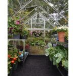 Canopia by Palram Harmony 6 ft. x 8 ft. Walk-In Greenhouse - Silver