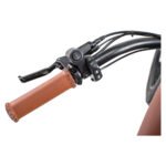  Revi Bikes Cheetah 48V 750W Hub Motor Fat Tire Electric Cruiser Bike