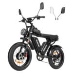 Ridstar Q20Pro 2000W Fat Tire Electric Bicycle