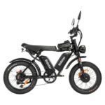 Ridstar Q20Pro 2000W Fat Tire Electric Bicycle