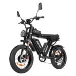 Ridstar Q20Pro 2000W Fat Tire Electric Bicycle