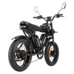 Ridstar Q20Pro 2000W Fat Tire Electric Bicycle