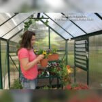 Grandio Element 6x8 Greenhouse Kit