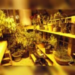 Grandio Elite 8x16 Greenhouse Kit