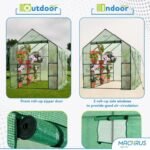 OGrow 6 ft. x 10 ft. Walk-In Greenhouse with Shelves - Green