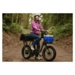 Rad Power Bikes RadRunner Electric Cargo Utility Bike